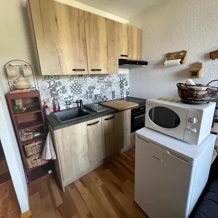 Daire Pied Des Pistes Super Sauze *
