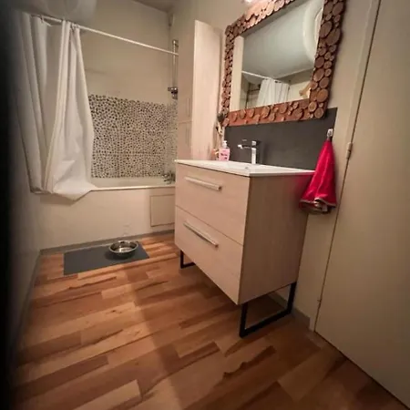 Apartment Pied Des Pistes Super Sauze *