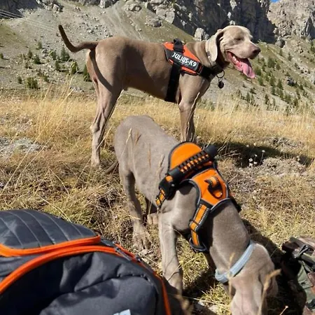 Pied Des Pistes Super Sauze