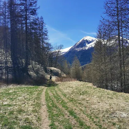 Daire Pied Des Pistes Super Sauze *