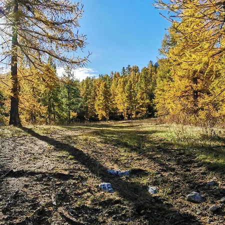 Pied Des Pistes Super Sauze *
