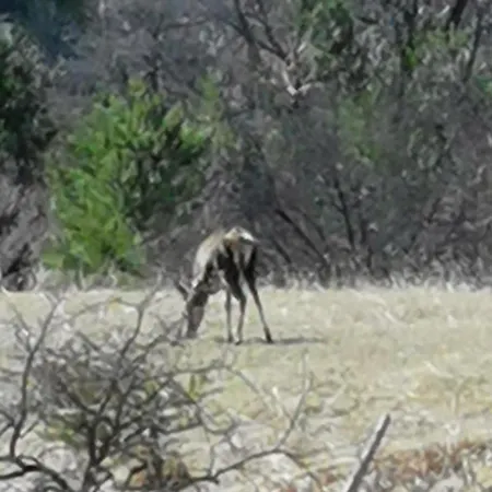 Pied Des Pistes Super Sauze *