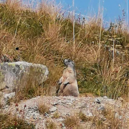 Pied Des Pistes Super Sauze *